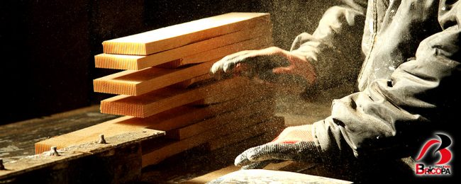 Riesgos de Trabajar en ambientes con Serrín Riesgos de Trabajar con Polvo de Madera